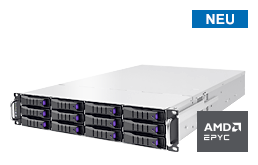 Server - Rack Server - 2HE - RECT™ RS-8639N12 - 2HE Rack Server mit AMD EPYC 9005 CPUs bis 160 Kerne