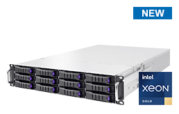 Server - Rack Server - 2U - RECT™ RS-8691N12 - Single Intel Xeon Scalable in 2U Rack Server with Hybrid Backplane