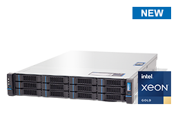 Server - Rack Server - 2U - RECT™ RS-8691R12 - in 2U Rack Server with 12 trays and SAS 12Gbit Expander-Backplane